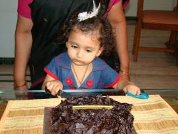 Cutting the 1st cake